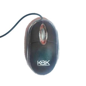 Home computer usb mouse